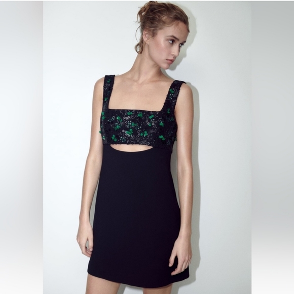 Zara Embroidered Yoke Dress, Limited Edition - Picture 3 of 12